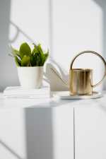 Homestaging